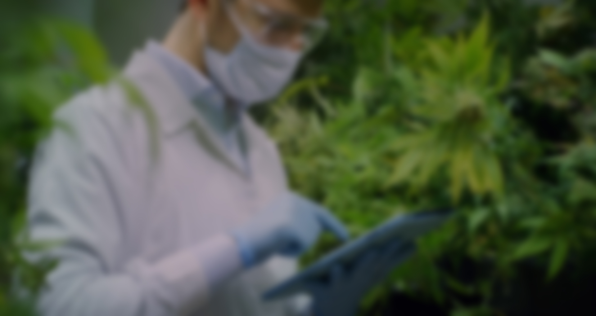 w-hemp-slider-2.jpg